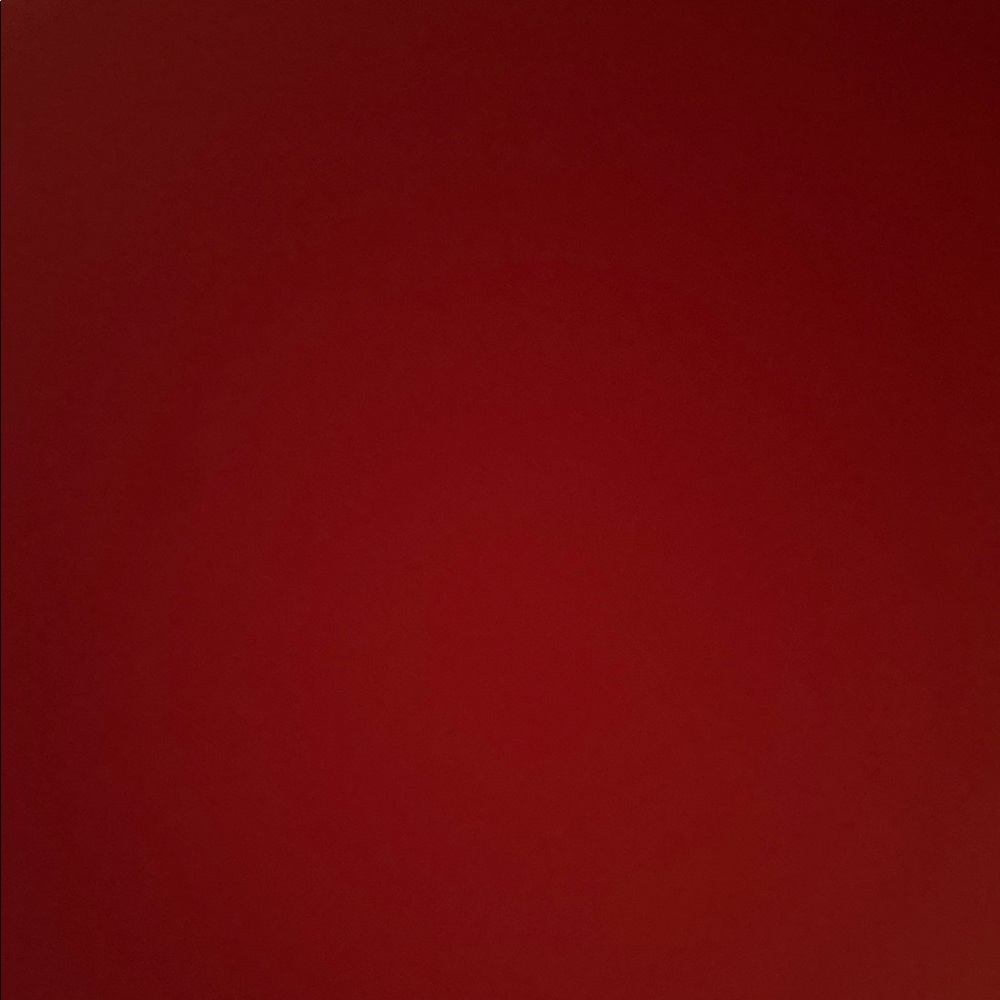 Zara Red Backless Dress